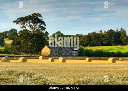 Scenic rural landscape (straw bales in farm field after wheat harvest, rustic wooden barn & sunlight on green pastures) - North Yorkshire, England UK. Stock Photo