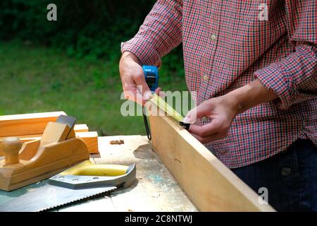 Carpenter woman using a measuring tape for check the length of timber plank. Woodworking concept. Stock Photo