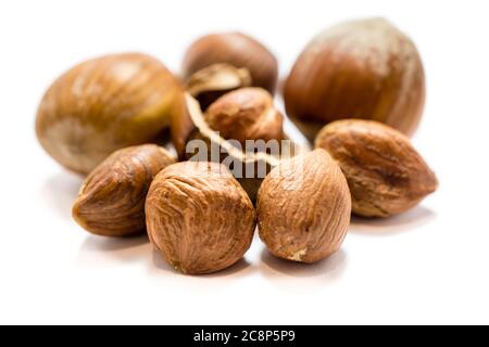 Hazelnut isolated on white background Stock Photo
