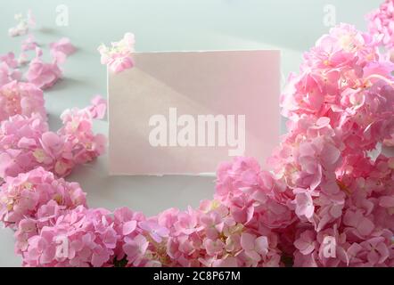 Festive frame with pink hydrangea. Flower composition with copy space on grey. Stock Photo