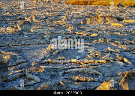 Large dry field of land after a long period of drought. Stock Photo