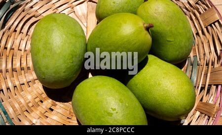 close up view of green or raw mangoes gathering in bamboo bucket which are filling out on the trees, where they can be left to ripen, but are also per Stock Photo
