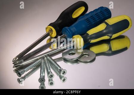 Screwdriver and wood screws isolated on gray background. mirror reflection Stock Photo