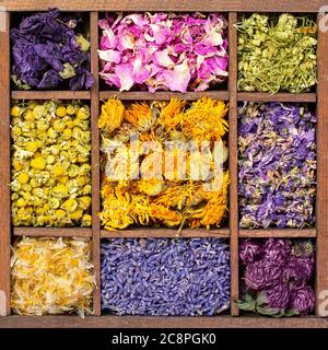 Dried flowers in wooden spoons on blue background Stock Photo