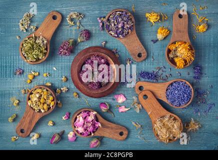 Dried flowers in wooden spoons on blue background Stock Photo