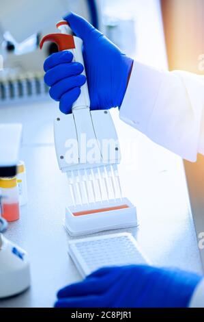 Variable volume multichannel pipette. Medical worker, scientist, laboratory assistant works in the laboratory Stock Photo