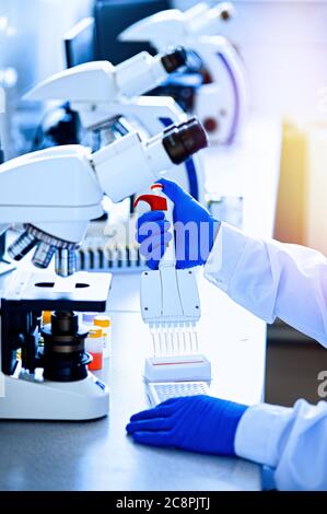 Variable volume multichannel pipette. Medical worker, scientist, laboratory assistant works in the laboratory Stock Photo