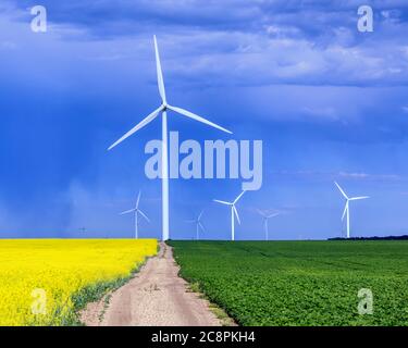 Wind energy turbines, St. Leon, Manitoba, Canada. Stock Photo