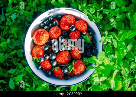 Bowl with a variety of berries on the garden against the backdrop of summer foliage. Stock Photo