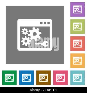 Application programming interface key flat icon set on color square background. Stock Vector
