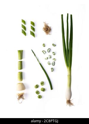 Green onion - allium fistulosum - isolated on white background. Knolling concept. Stock Photo