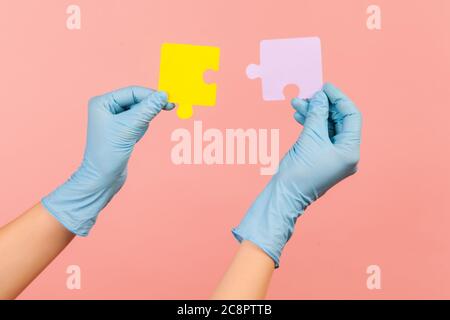 Profile side view closeup of human hand in blue surgical gloves holding yellow and purple puzzle pieses. indoor, studio shot, isolated on pink backgro Stock Photo