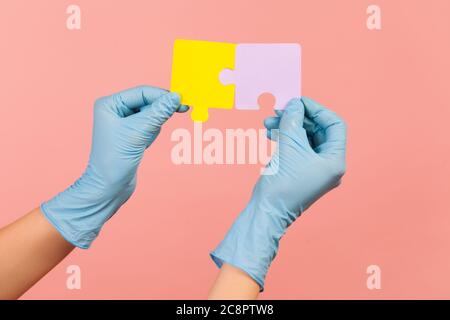 Profile side view closeup of human hand in blue surgical gloves holding yellow and purple puzzle pieses. indoor, studio shot, isolated on pink backgro Stock Photo