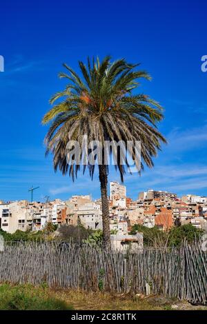 The little village of Abaran in valley ricote, in the Murcia region, Spain Stock Photo