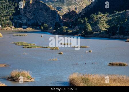 The Ojos reservoir, also called Azud de Ojos in Blanco, Region of Murcia. Spain. River Segura. Ricote Valley. Seen from the viewing platform of Alto d Stock Photo