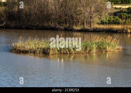 The Ojos reservoir, also called Azud de Ojos in Blanco, Region of Murcia. Spain. River Segura. Ricote Valley. Seen from the viewing platform of Alto d Stock Photo