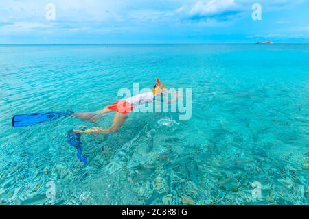 Snorkeling woman in wetsuit and fins in turquoise clear waters of Le Ghiaie Beach, Elba island, Italy. Marine reserve protected biological area of Stock Photo