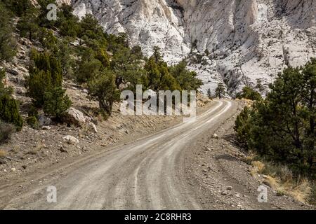 White Limestone rock over dirt road through Juniper trees in the Utah desert. Stock Photo