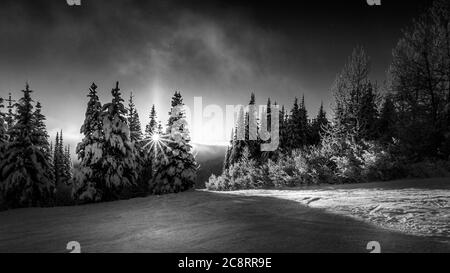 Black and White Photo of the sun setting behind the trees on the Ski Slopes of Sun Peaks Resort in the Shuswap Highlands, British Columbia, Canada Stock Photo