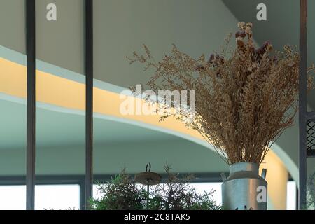 Cafe shop modern interior design with ceiling in living fern plants, plant creative loft chandelier hanging. Stock Photo