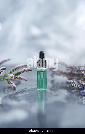 Essential oils bottles on the grey background with herbs. Stock Photo