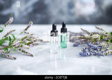 Essential oils bottles on the grey background with herbs. Stock Photo