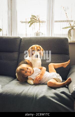 Little baby girl with beagle dog sitting on the sofa at home. Stock Photo