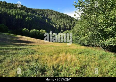 Prairie in Galicia, Spain Stock Photo