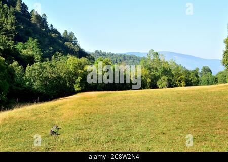 Prairie in the Caurel mountains in Galicia, Spain Stock Photo