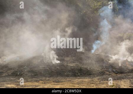 Traditional way of charcoal production in a forest Stock Photo