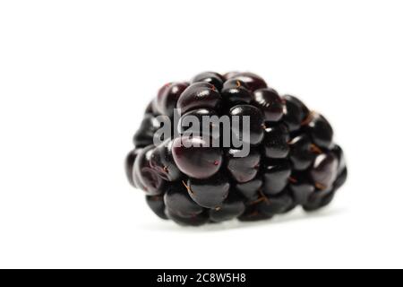 Single fresh blackberry isolated on white background. Stock Photo