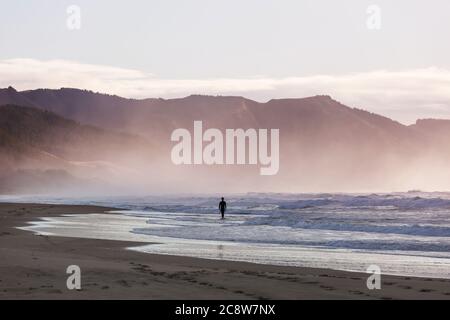 surfers on ocean  beach in New Zealand Stock Photo