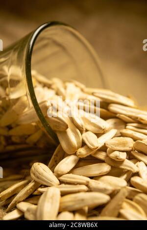 White sunflower seeds fried with sea salt in a glass Cup and sunflower seeds scattered on a background of coarse-textured burlap. Close up Stock Photo