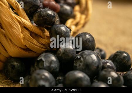 Blueberries in a wicker basket and blueberries scattered on a background of homespun fabric with a rough texture. Close up Stock Photo