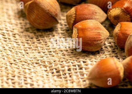 Hazelnut scattered on a background of homespun fabric with a rough texture. Close up Stock Photo