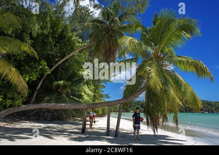 Cote D'Or one of the most beautiful beaches in Praslin Seychelles | usage worldwide Stock Photo