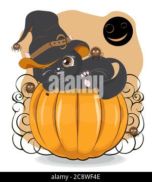 Halloween wink black cat in witch hat and spider on pumpkin, Picture in hand drawing cartoon style, for t-shirt wear fashion print design, greeting ca Stock Vector