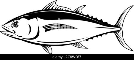 Retro style illustration of an albacore Thunnus alalunga or longfin tuna, a fish species of tuna of the order Perciformes, viewed from side on isolate Stock Vector