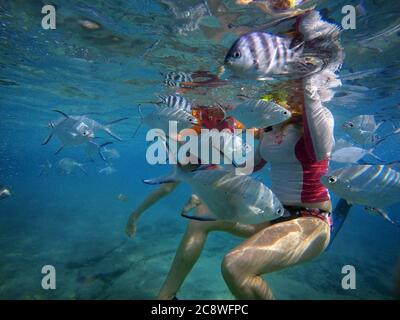 Tourist swimming with a lot of fishes under the waters in Seychelles islands. | usage worldwide Stock Photo