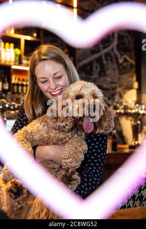 Cockapoo and French Bulldog breed-specific dog event in Shoreditch, where dog owners bring their dogs into the cafe for a meet-up in East London, UK. Stock Photo