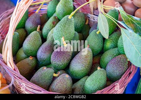 Natural and organic avocados on farmer's market stall. Stock Photo