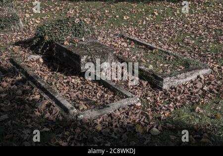 two old unkept dissolute abandoned graves with ivy and fallen leaves on cemetery faded colors Stock Photo