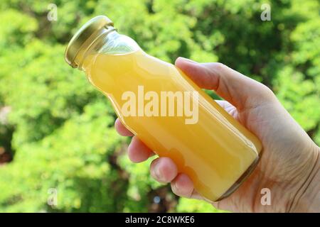 Hand holding a bottle of orange juice with blurry green foliage in background Stock Photo