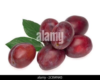 Six plums with plum leaves on white background. Stock Photo