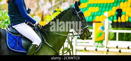 Beautiful girl on black horse in jumping show, equestrian sports. Horse and girl in uniform going to jump. Horizontal web header or banner design. Stock Photo