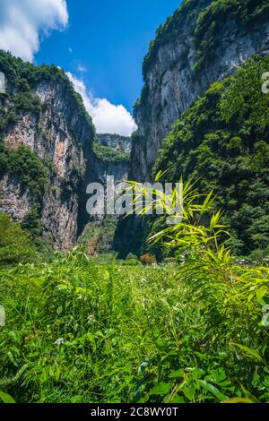 Landscape of the massive vertical rock walls in Longshuixia Fissure National park, Wulong country, Chongqing, China Stock Photo