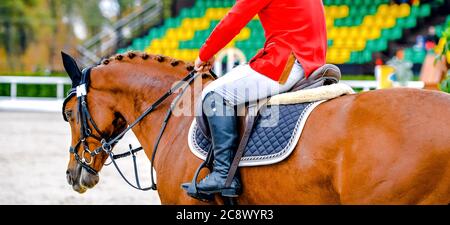 Sorrel dressage horse and rider in red uniform performing jump at show jumping competition. Equestrian sport background. Chesnut horse portrait during Stock Photo