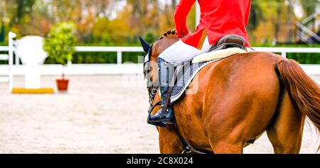 Sorrel dressage horse and rider in red uniform performing jump at show jumping competition. Equestrian sport background. Chesnut horse portrait during Stock Photo