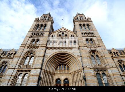 The Natural History Museum is one of three  museums located in Kensington. It houses five main collections: botany, entomology, mineralogy, paleontolo Stock Photo