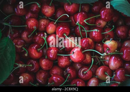 Close up shot of sweet cherries, top view Stock Photo